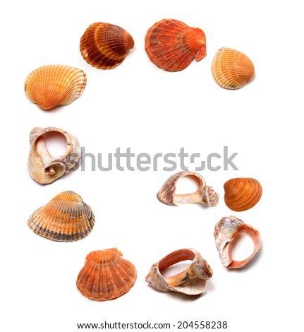 Letter G composed of seashells. Isolated on white background.