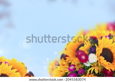 Sunflowers and aster fresh flowers border on defocused blue fall sky background