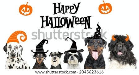 group of different dogs with hat illustrations on banner of halloween 