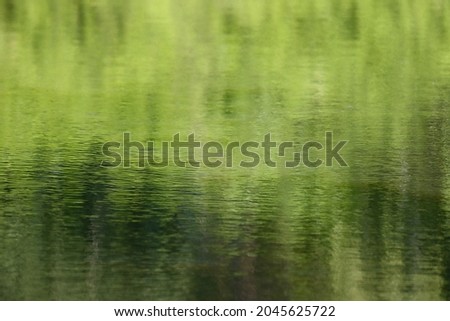 The water surface is green in stagnant swamp water.  Royalty-Free Stock Photo #2045625722