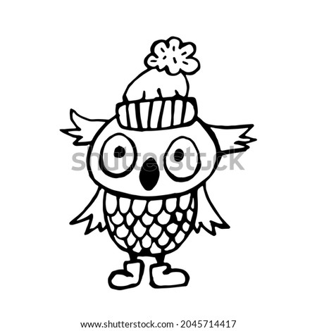Owl black outline. Owl doodle. Winter illustration. Owl in a cap. Vector. Winter clothes.