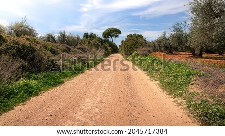 Dirt road and hiking trail track between wheat field and countryside scenery. Panorama of a mountain bike way in a beautiful landscape at Spain