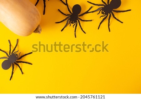 Halloween holiday concept. spider on orange background. Top view