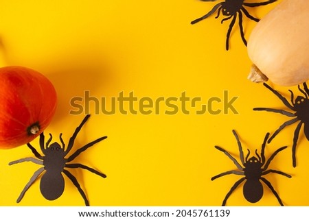 Halloween holiday concept. spider on orange background. Top view