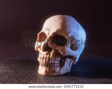 A human skull on a black background. Color illumination.
Three-quarter angle. Royalty-Free Stock Photo #2045772152