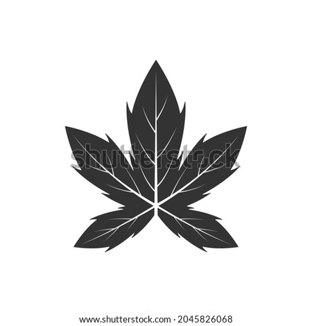 Maple leaf icon. Autumn leaf. Autumn concept. Flat design vector illustration isolated on white background.