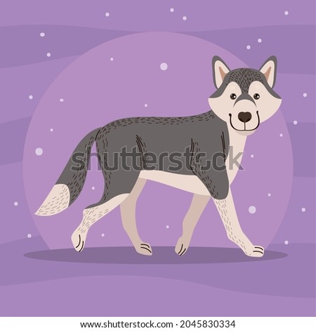 siberian husky walking pet character