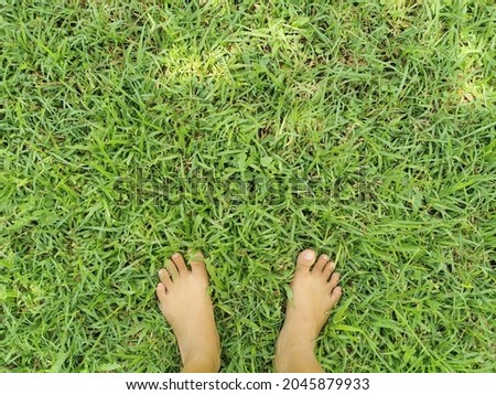 Picture standing on green grass.