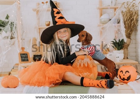 a baby girl with blue eyes and long white hair in a Halloween witch costume and a tiny dachshund in a dog jumpsuit are sitting on the floor in the room. space for text. High quality photo
