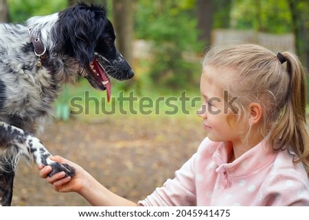 Friendship and acquaintance of a girl and a dog on the street