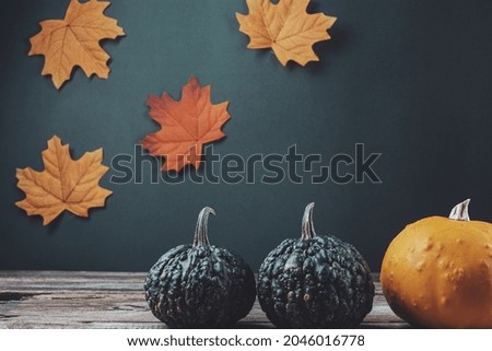 Pumpkins standing in a row. On a background with bright maple leaves. Halloween Holiday, rustic. High quality photo