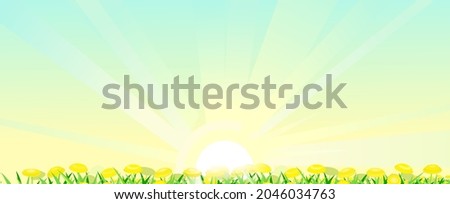 Blooming meadow with yellow dandelions and the rays of the morning sunrise. Big clear sky. Close-up side view. Rural cute grassy landscape. Handsome cool. Vector