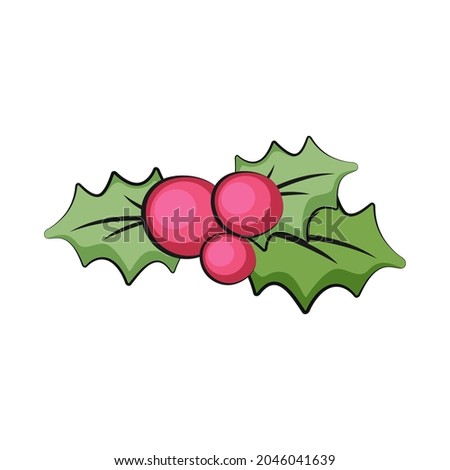 Mistletoe for Merry Christmas. Holly leaves with red berries. Vector illustration.