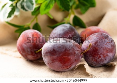 Fresh and tasty prunes.
Prunes are rich in nutrients.