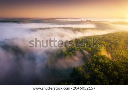 Breathtaking misty view of tree tops from a bird's eye view. Location place Dniester canyon of Ukraine, Europe. Aerial photography, drone shot. Perfect natural wallpaper. Discover the beauty of earth.