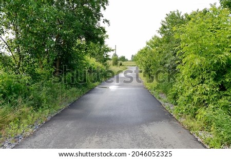 Beautiful empty asphalt road in countryside on colored background. Photography consisting of new empty asphalt road passing through countryside. Empty asphalt road for speed car in foliage countryside