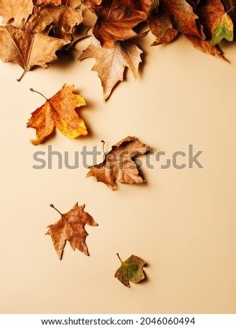 Brown and dry leaves falling down on pastel beige background. Creative fall natural concept. Wind and rain autumn season inspired art. Flat lay, top view.