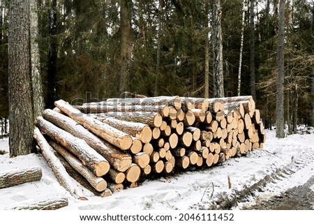 A wood material logging. Round timber stock. Lumber-camp of pine. Mass deforestation. Freshly cut tree logs piled up. Harvesting of wood. Sale of natural resources on the exchange. Ecological problem. Royalty-Free Stock Photo #2046111452