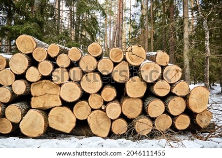 A wood material logging. Round timber stock. Lumber-camp of pine. Mass deforestation. Freshly cut tree logs piled up. Harvesting of wood. Sale of natural resources on the exchange. Ecological problem. Royalty-Free Stock Photo #2046111455