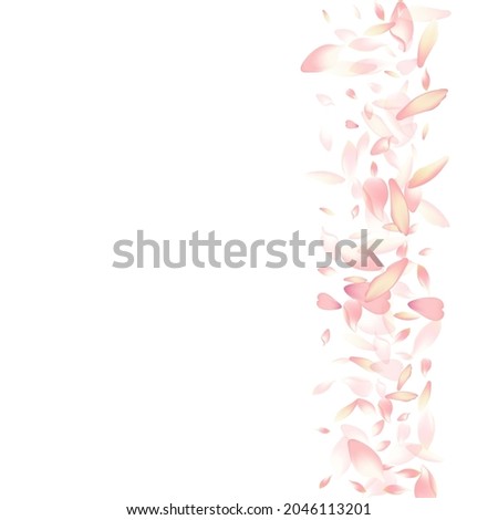 Transparent Flower Petal Vector White Background. Pink Modern Cherry Petal Congratulation. Apple Petal Spring Poster. 3d Lotus Petal Frame.