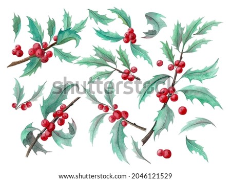 Set of Christmas Holly Berry for clip art. Hand painted watercolor floral illustration of mistletoe for postcards or invitations. Isolated red and green elements on white background