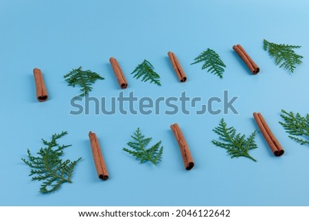 Christmas composition. Cypress branches, cinnamon stick, on blue background. Flat lay, top view, copy space