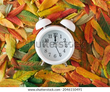 An old retro clock on an autumn fallen leaf. Autumn fall vintage idea.