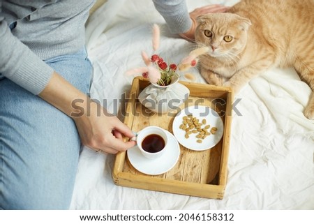 Woman sitting on the bed, and drink coffee, cat feeding during the morning sunlight, breakfast in the bed. Female with domestic pet