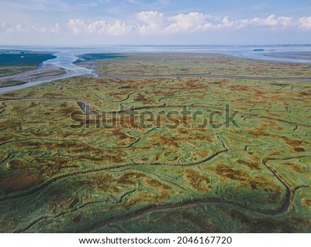 Astonishing landscape formations in The Drowned Marshland, Zeeland, Netherlands