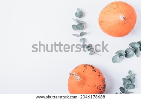 Pumpkins and eucalyptus branches, minimal flat lay composition on white background with copy space.