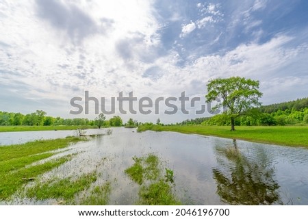 Spring landscape. background with nature, forest river, background for your design, After a long cold winter, it's nice to have more hours of sunshine and warmer weather.