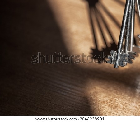 Bunch of metal keys close up. Security and encryption, concept image. Selective focus.