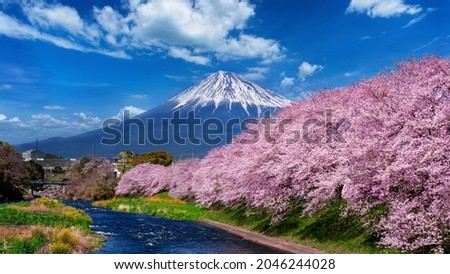 Fuji mountains and cherry blossoms in spring,Shizuoka in Japan. Royalty-Free Stock Photo #2046244028