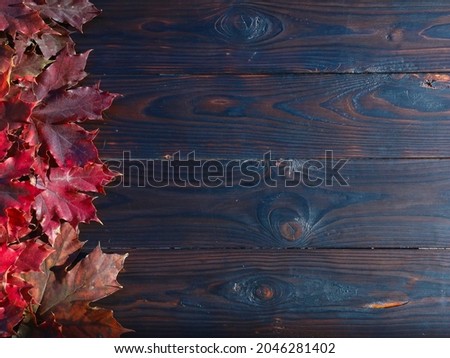 Red fall maple leaves frame on dark rustic wooden boards background. Autumn foliage with wood texture copy space top view. September, October, seasonal design, decoration, blank place 