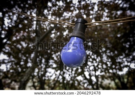 Detail of colorful painted electric light bulb, lighting and decoration