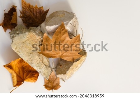 Creative composition with autumn theme, light-colored real stones and natural dry leaves of different shapes are resting on a white background, free space for text on the right side.