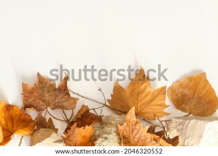 Creative background with autumn theme, stones and natural dry leaves with small twigs are resting on a white background at the bottom of the frame, free space for text at the top.