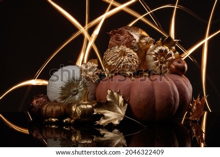 Variety decorative gourds and Halloween pumpkins. Autumn composition with freeze-light for halloween.