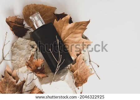 Creative background with autumn theme, a bottle of perfume is resting on natural dry leaves with twigs and light-colored stones, free space for text on the right side. Royalty-Free Stock Photo #2046322925