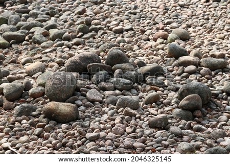 Several round stones bathing in sunshine. These ancient stones are now in the forest, but they used to be on the beach. The photo of a raised beach is taken in Teijo National Park in Finland.