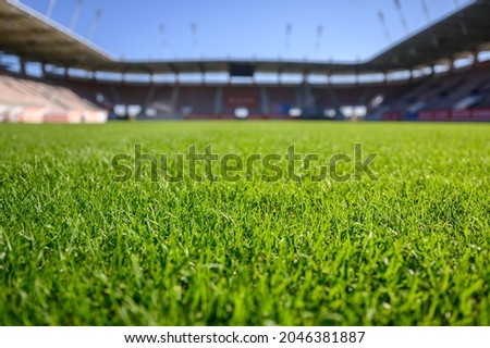 Grass at the football stadium during sunny summer day Royalty-Free Stock Photo #2046381887