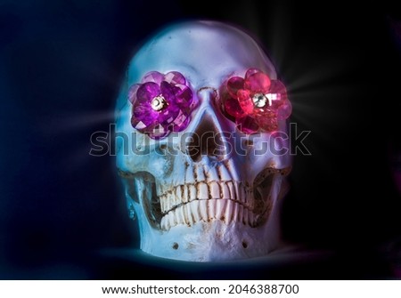 Day of the Dead. Human skull with a red rose on black. Human skull on black. Human skull in the dark.