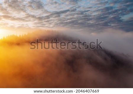 Magical thick fog covers the mountains in the rays of morning light. Location place Carpathian mountains, Ukraine, Europe. Fresh vibrant colors. Perfect photo wallpaper. Discover the beauty of earth.