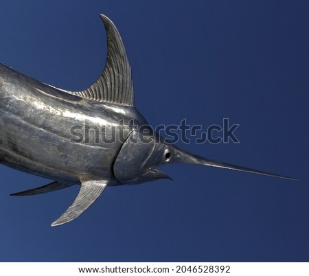 A scenic view of a swordfish on a blue background Royalty-Free Stock Photo #2046528392