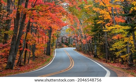 Tunnel of trees in autumn time along scenic byway M41 in Keweenaw peninsula in Michigan upper peninsula Royalty-Free Stock Photo #2046548756