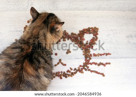 The cat and the symbol of the cat's head on the floor of dry food