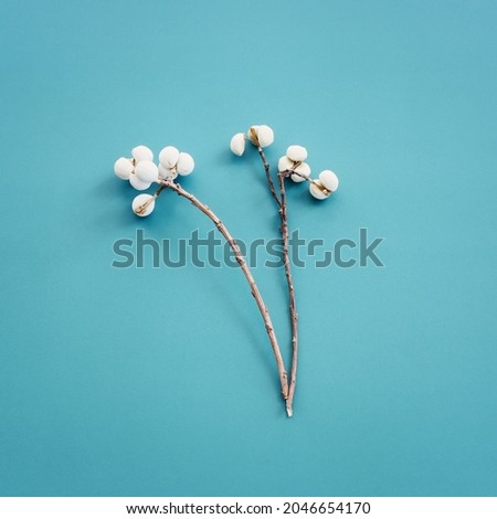 Top view image of autumn forest white seeds natural composition over blue background .Flat lay