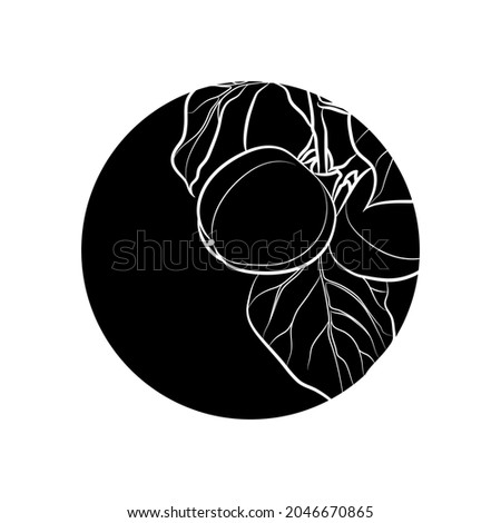 Black silhouette of persimmon branch in black circle. Graphic drawing. Vector illustration.