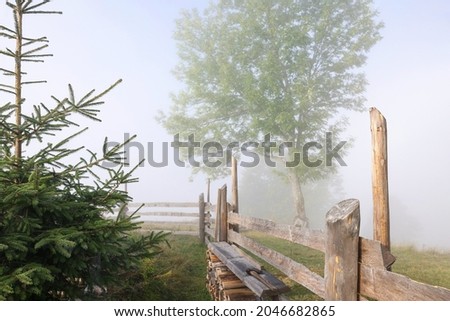 Trees growing near wooden fence in foggy morning