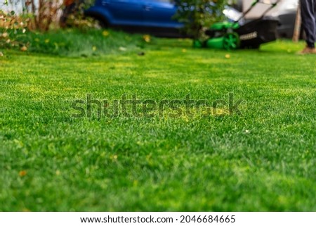 lawn mower in the garden